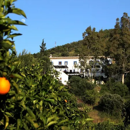 Casas Rurales La Molineta